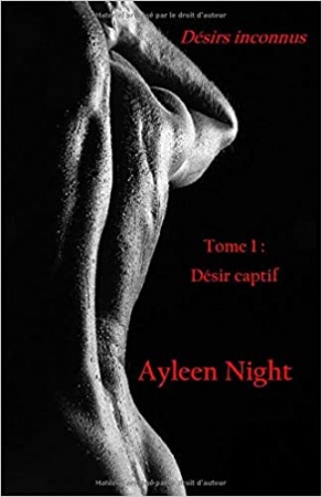 Désirs inconnus tome 1: Désir captif de Ayleen Night