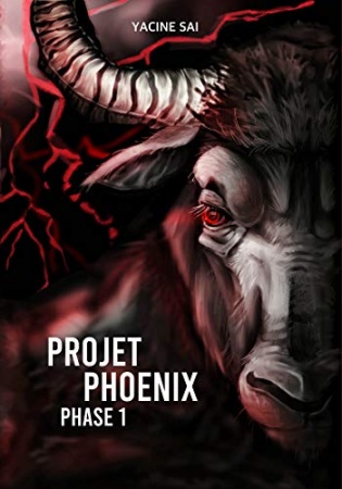 Projet Phoenix: Phase 1 de Yacine SAI