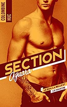 Section Aguara & Co - Tome 3