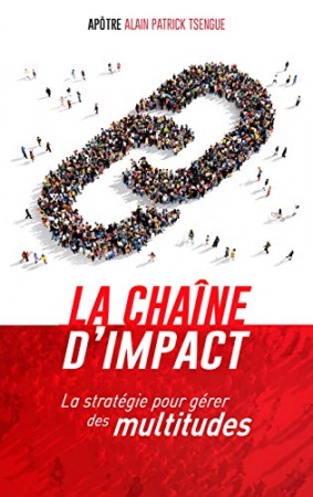 La chaîne d'impact: La stratégie pour gérer des multitudes  de 	 Alain Patrick Tsengue