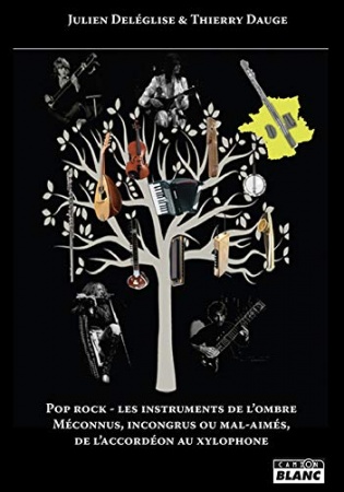 Pop rock - Les instruments de l'ombre Méconnus, incongrus ou mal-aimés, de l’accordéon au xylophone de  Julien Dauge; Thierry et Deléglise