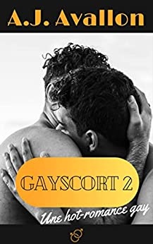 Gayscort (tome 2) Une hot romance gay MM de A.J. Avallon